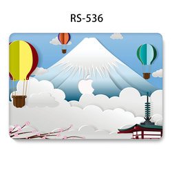 RS-536