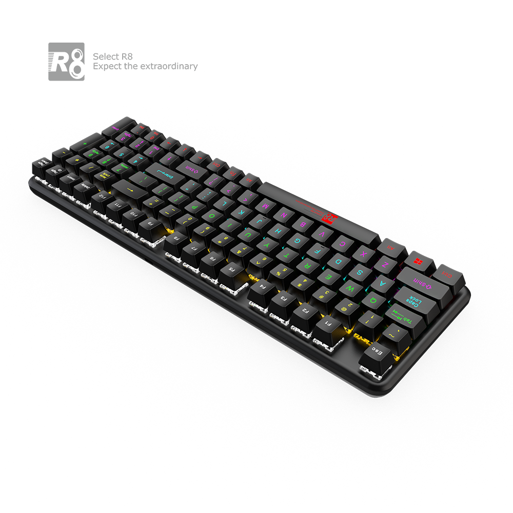 OEM 98 Keys Hot Sale Wired Wireless BT 2.4G RGB Swappable Green Blue Black Red Brown Switch Gaming Mechanical Keyboard For PC