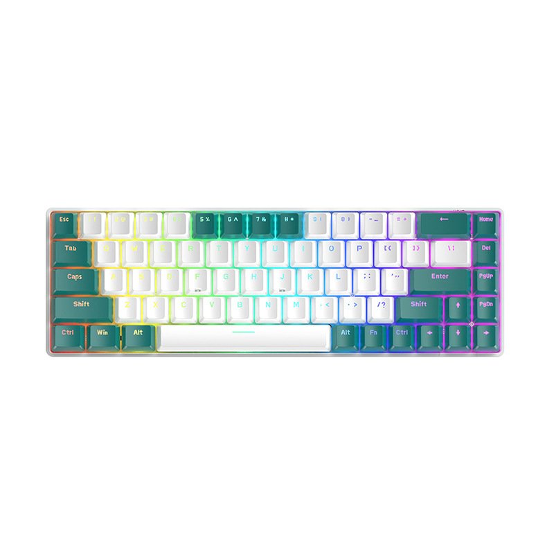 T8 68 Keys RGB Backlight Gaming Mechanical Keyboard for Gamer Type-C Wired RGB Gaming Mechanical Keyboard