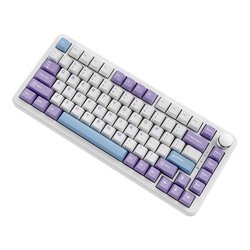 Flying Fish Switch