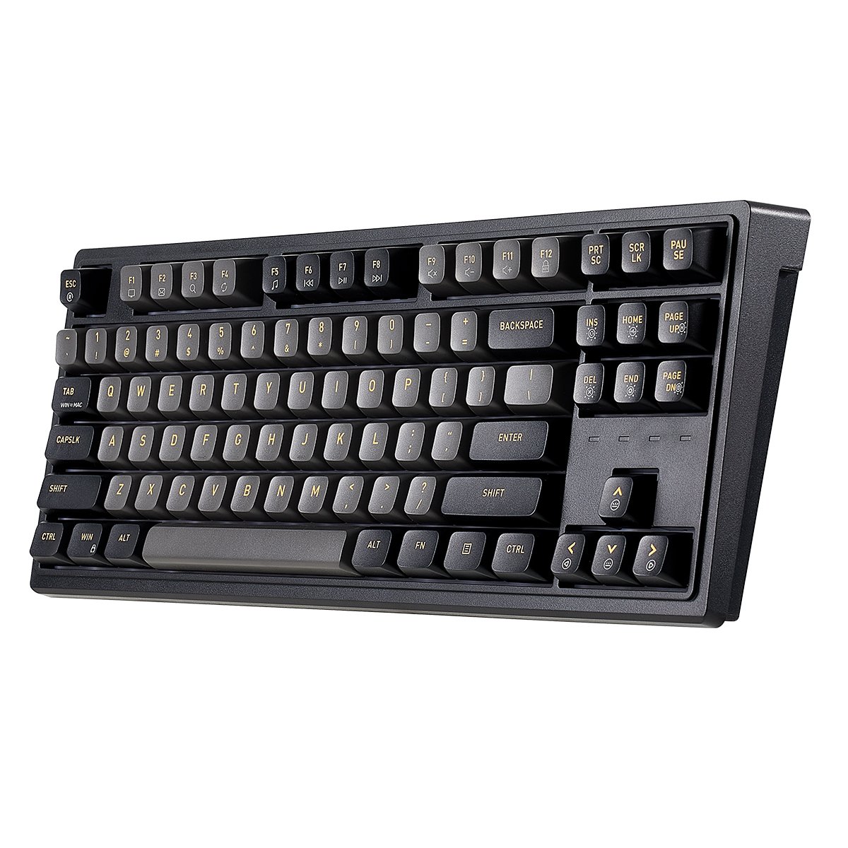Hexgears M3 87 Keys Compact TKL Ergonomic Mechanical Gaming Keyboard Type C Cable Hot Swappable PCB
