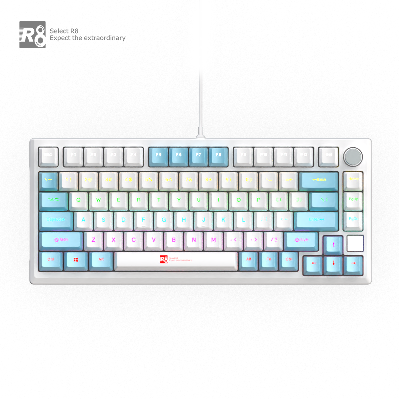 Factory 82 Keys Hot Swappable Blue Switch Custom Keycap Computer Gaming USB Wired RGB Light Led Mechanical Keyboard With Knob