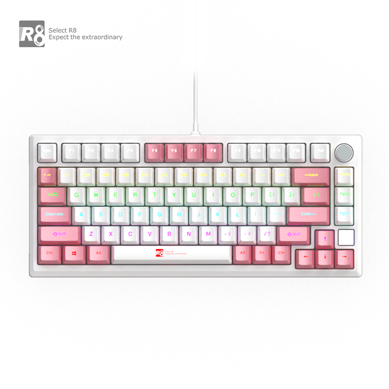 Factory 82 Keys Hot Swappable Blue Switch Custom Keycap Computer Gaming USB Wired RGB Light Led Mechanical Keyboard With Knob