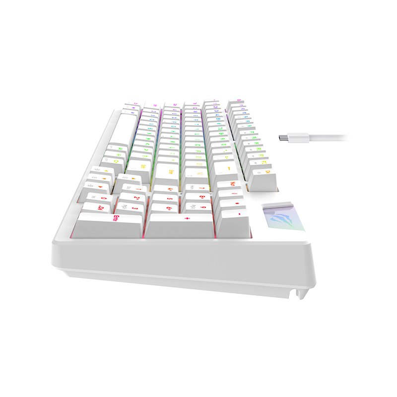Havit KB885L 95 Keys USB TYPE-C Port RGB Led Light Backlit Mechanical Gaming Keyboard