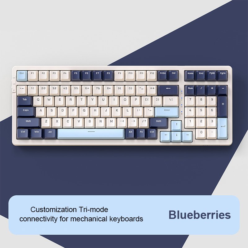 OEM 98 Keys Custom Key Shaft Wireless Bluetooth Multi Mode RGB Can DIY Hot Swappable Mechanical Keyboard Custom Wholesale