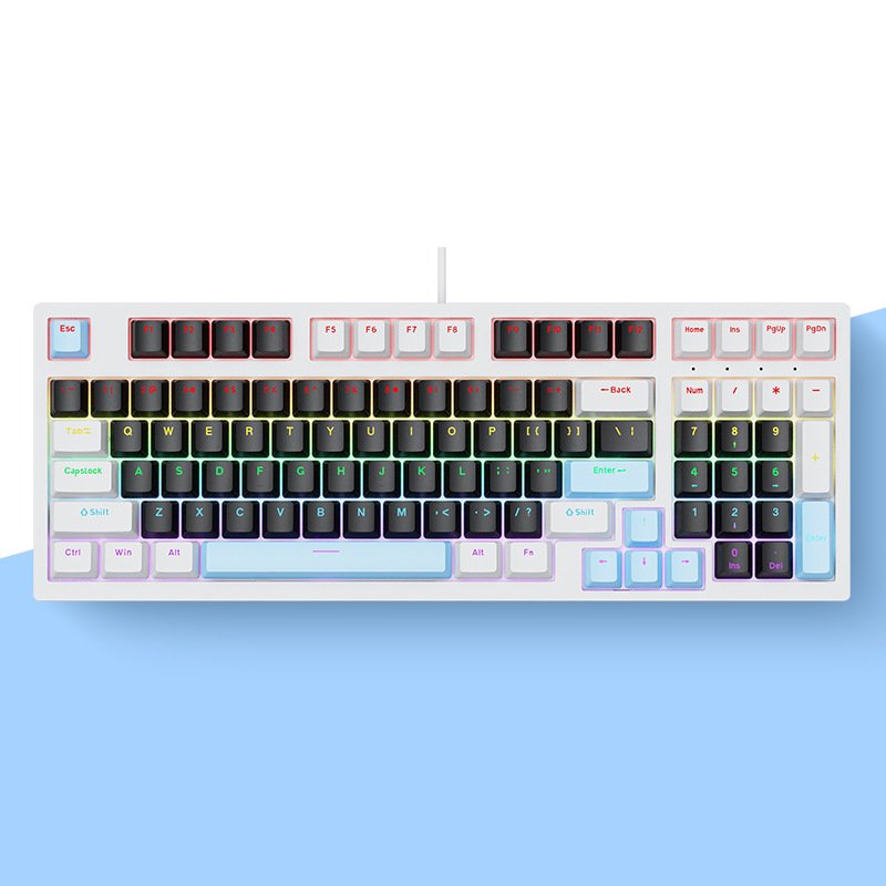 ABS RGB Backlit Keycap Ergonomic USB Type-C Wired Hot Swappable Mechanical Gaming Keyboard for PC Laptop Computer-Color Lighting