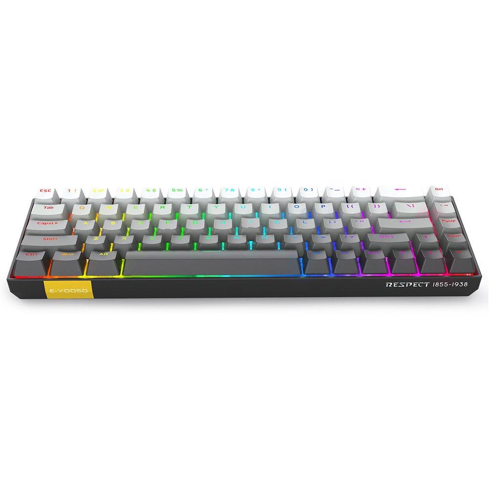 E-YOOSO Wired Mechanical Keyboard 68% 68 Keys RGB Backlight LED Magnetic Switch Rapid Trigger Gradient mechanical keyboard