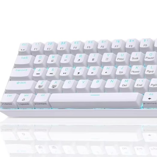 61 Keys Mini Mechanical Keyboard Kit 60 Percent RGB Backlit Wired Gaming Keyboards Typing backlit red axis green axis tea axis