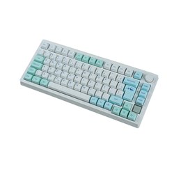 blue switch