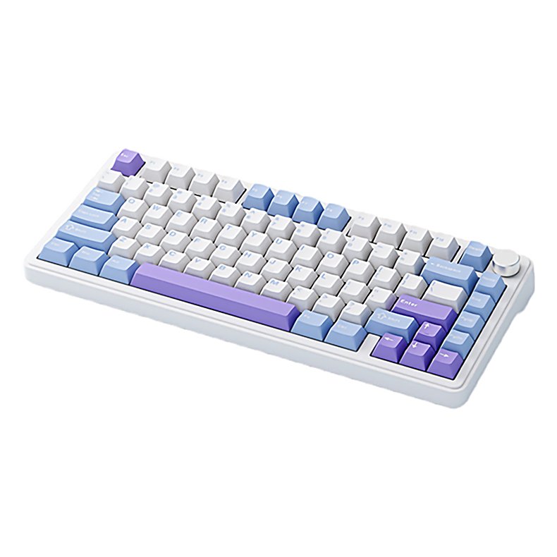 Custom Wireless Wired USB PC Computer Mechanical Switch RGB Backlit Gaming Mechanical Keyboard
