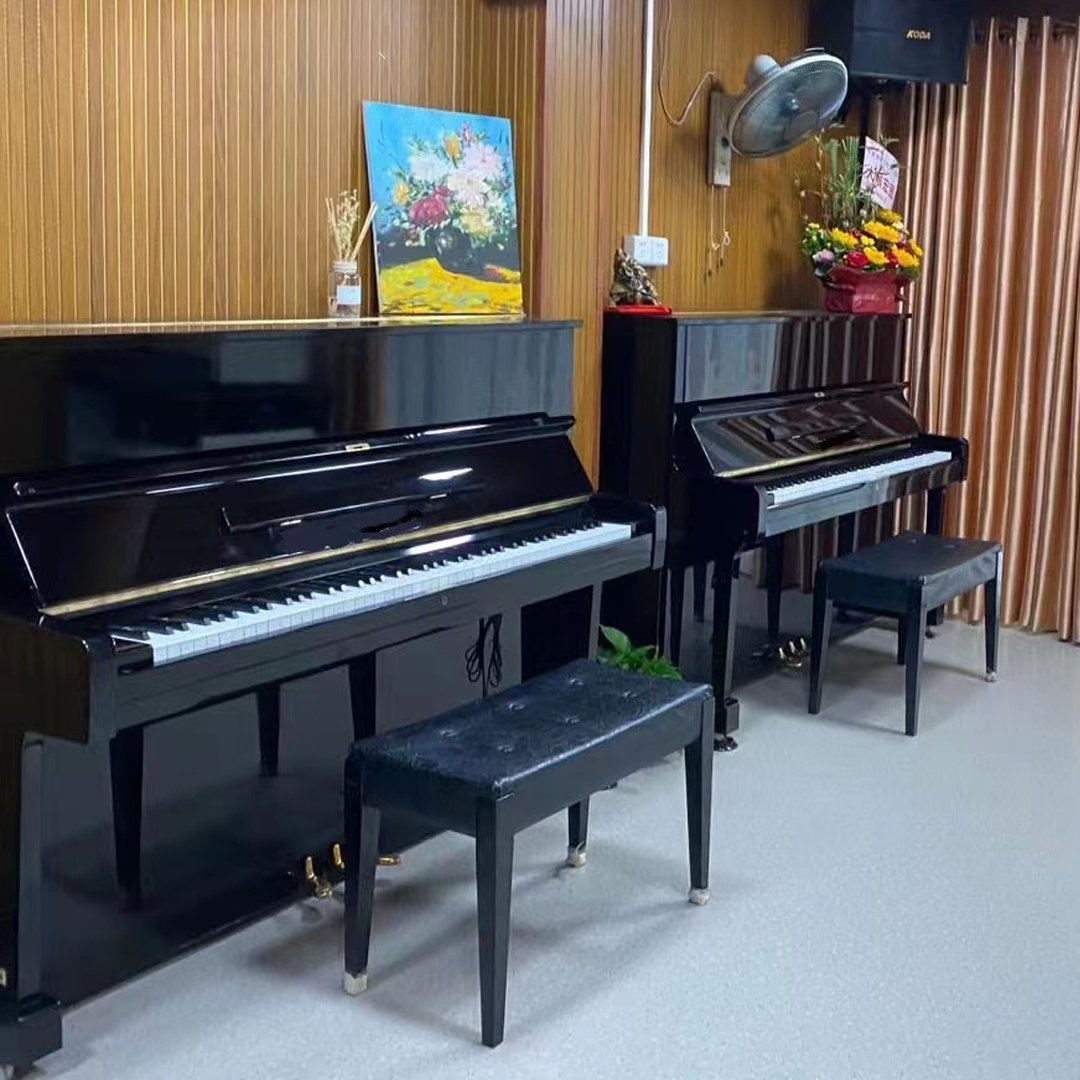 Youngs Practice Piano for Sale 88 Keyboard Piano of Musical Instrument Complimentary Piano Stool Dust Cover Mechanical 220