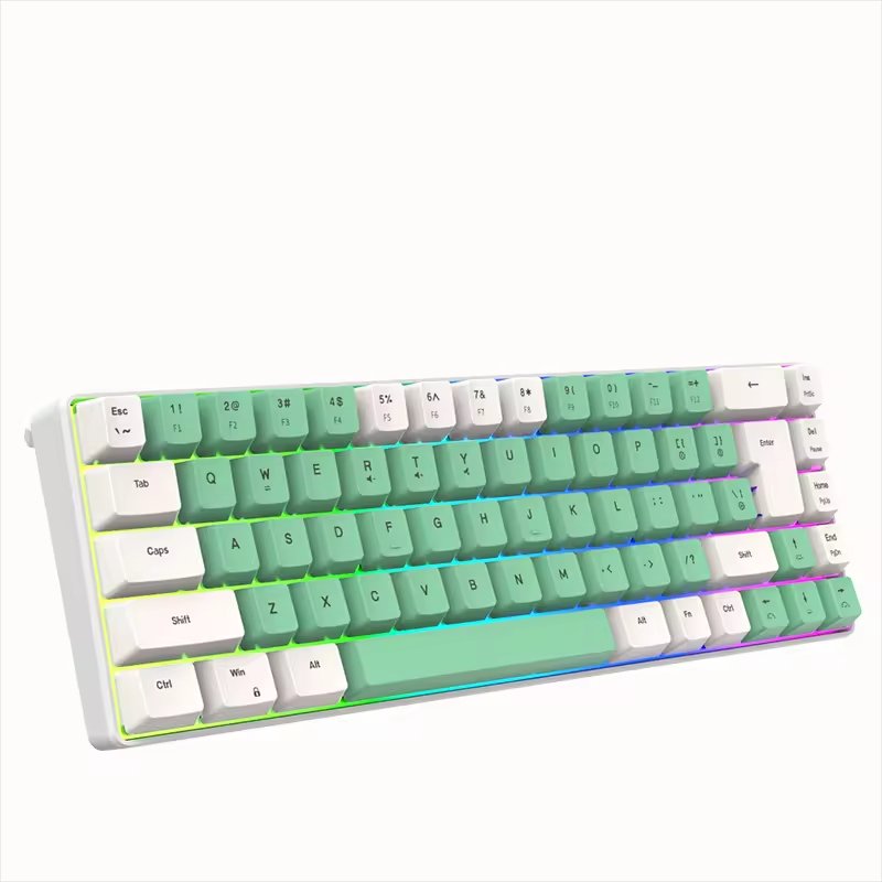 68 Keys Wired Customization 60 Percent Switch Hot Swap Ergonomics RGB Gamer RGB Mechanical Keyboard Compatible with PC Laptop