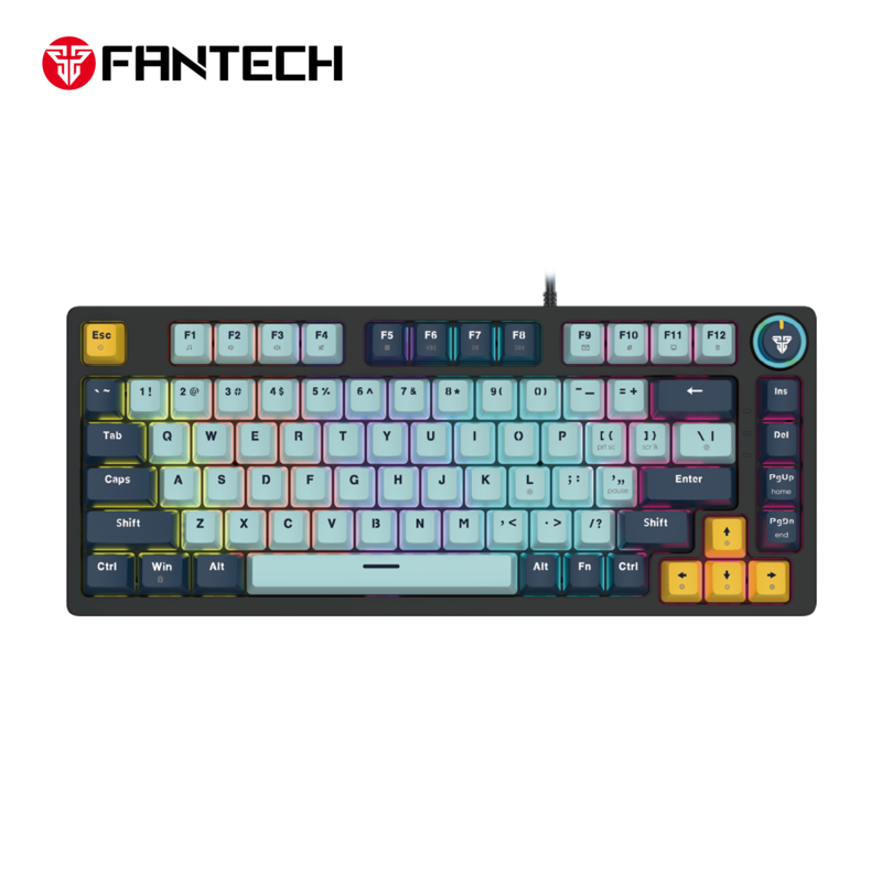 68 Keys Hot Swappable Transparent Gaming Keyboard RGB Backlit Outemu Gateron Cherry Axis Red Switch Wireless Mechanical Keyboard