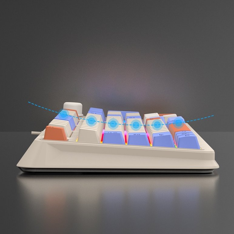 Wired Keyboard , Full Size Keyboard with Mixed Color Keycaps, Keyboard with 26 Keys Anti-ghosting