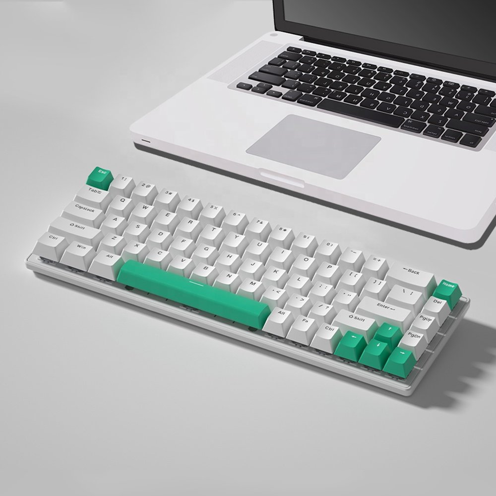Manufacturer customs 61 keys TYPE-C mechanical 60% Wired gaming keyboard RGB backlit waterproof small compact 61-key keyboard