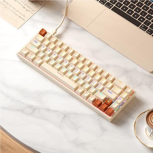 B.O.W Hot Selling Wired 68 Keys Hotswap Mini Mechanical Gaming Keyboards Full Anti-ghosting Red Brown Switch For PC Gamer
