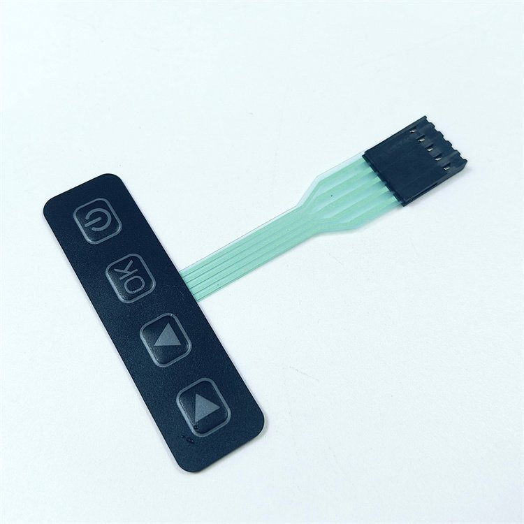 Silver ink Autotex F150 with 3M LSE adhesive membrane keypad switch for control