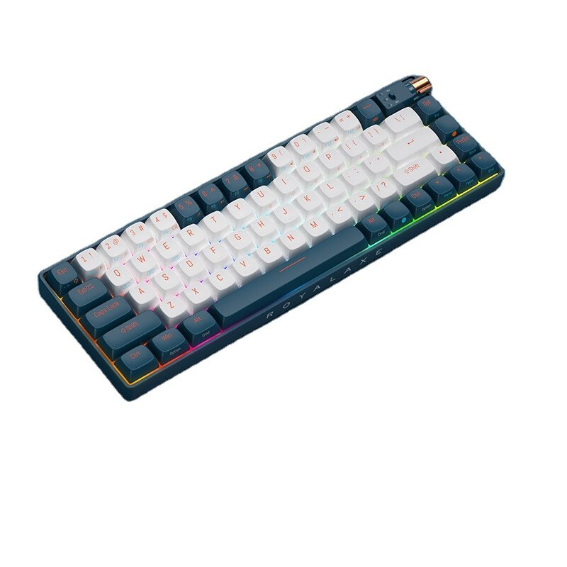 Royalaxe R68 Customization Gaming Keyboards and 67 Keys Mechanical Gaming Keyboard for Computer ttc switch