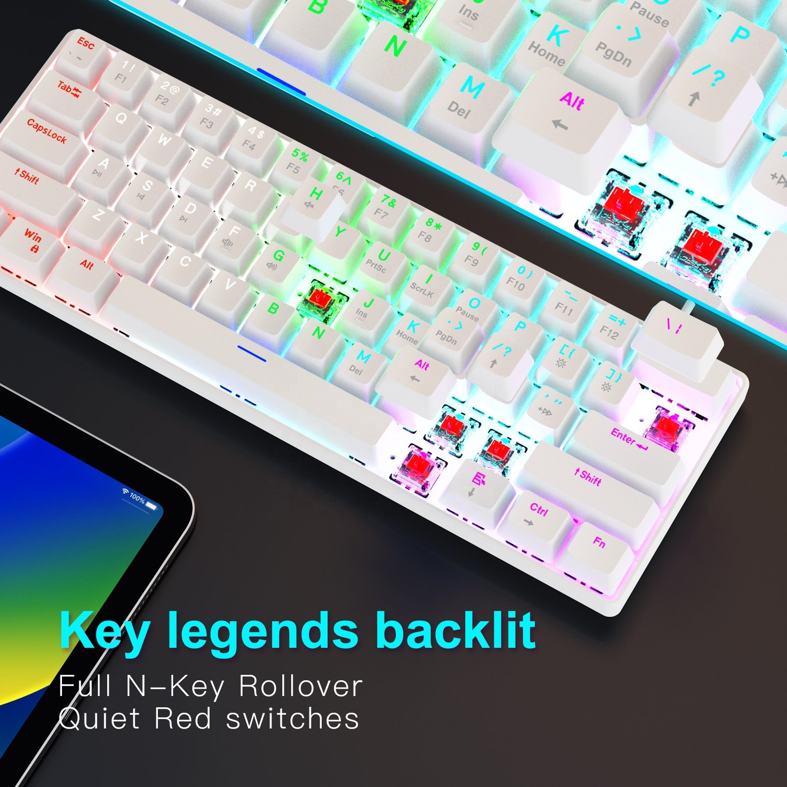 60 Percent Mechanical Gaming Keyboard Ergonomic Durable Detachable Type-C Cable Mini White Gaming Keyboard with Red Switches