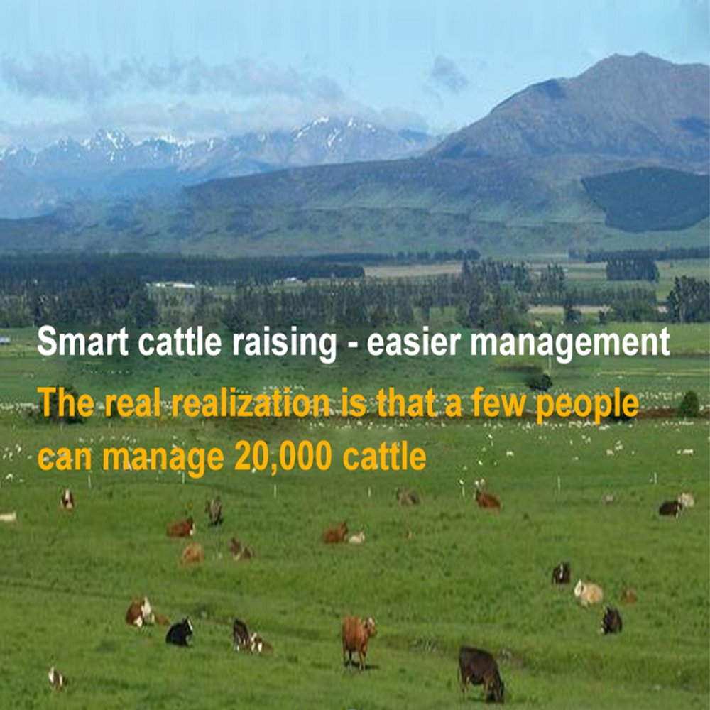gps tracker with lora cow Sheep Animal Husbandry Intelligent Breeding Lorawan Location lora livestock health monitor
