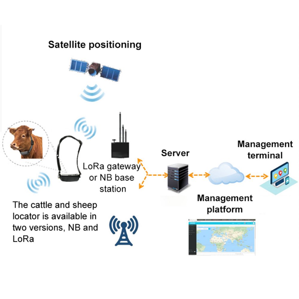 gps tracker with lora cow Sheep Animal Husbandry Intelligent Breeding Lorawan Location lora livestock health monitor