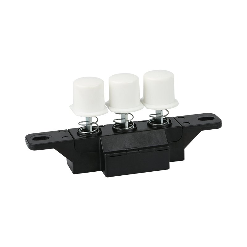 Multi-Functional Skin Care Beauty Device with Select Keyboard Button Switch Push Button Switches Product Category