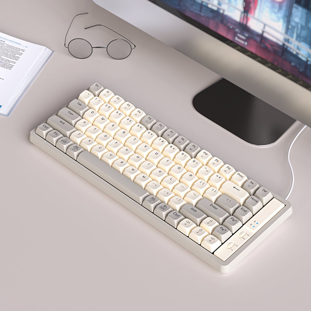 OEM GK85 USB Gaming Mechanical Keyboard Orange Switch RGB Backlit Hot Swappable 85 Keys Wired Detachable Cable