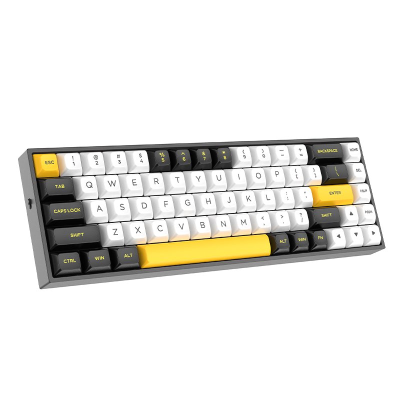 TMICE Rapid Trigger Mechanical Keyboard Magnetic Switch PBT Keycap Wired 65% Size RGB TKL Compact Anti-Ghost Gaming Keyboard