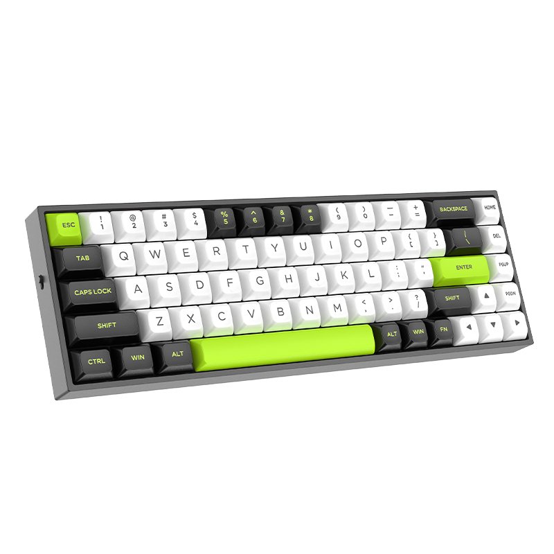 TMICE Rapid Trigger Mechanical Keyboard Magnetic Switch PBT Keycap Wired 65% Size RGB TKL Compact Anti-Ghost Gaming Keyboard