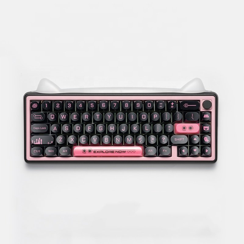 Chilkey Paw65 Mechanical Keyboard Wireless Gaming Keyboard For Desktop
