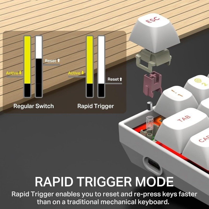 New Arrival Rapid Trigger Magnetic Switch Mechanical Keyboard PBT Keycap Wired 65% RGB 68 Keys Creamy Switch Gaming Keyboards