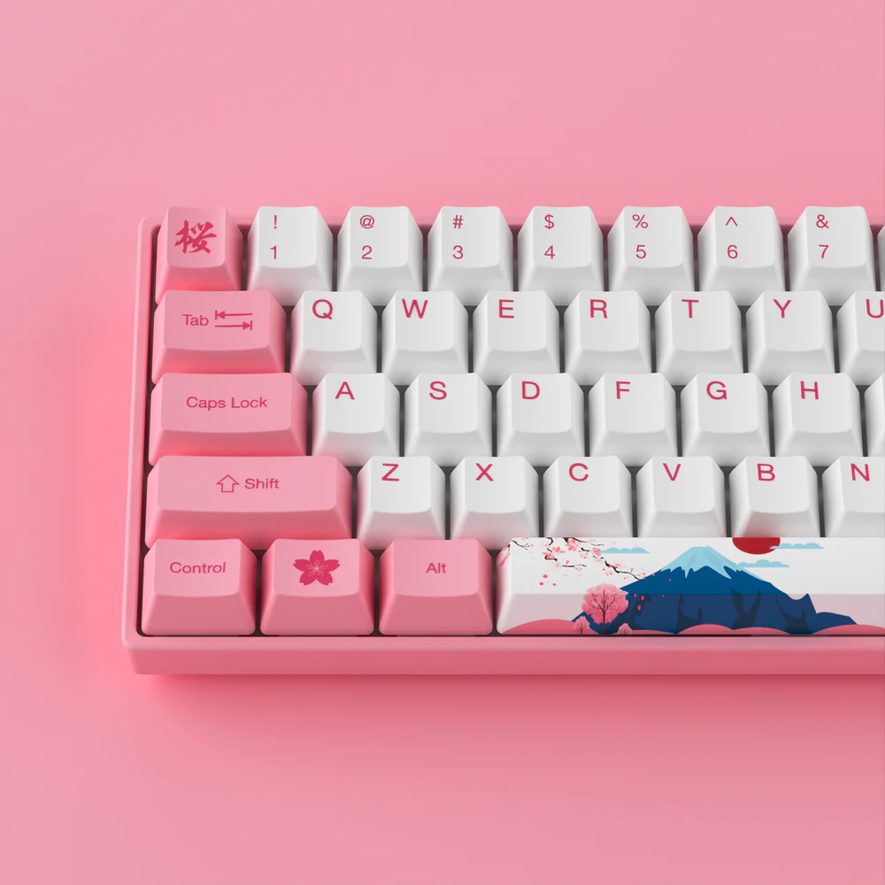 AKKO 3061S HE World Tour Tokyo Mechanical Keyboard 60% Gaming Keyboard For Teclado Gamer
