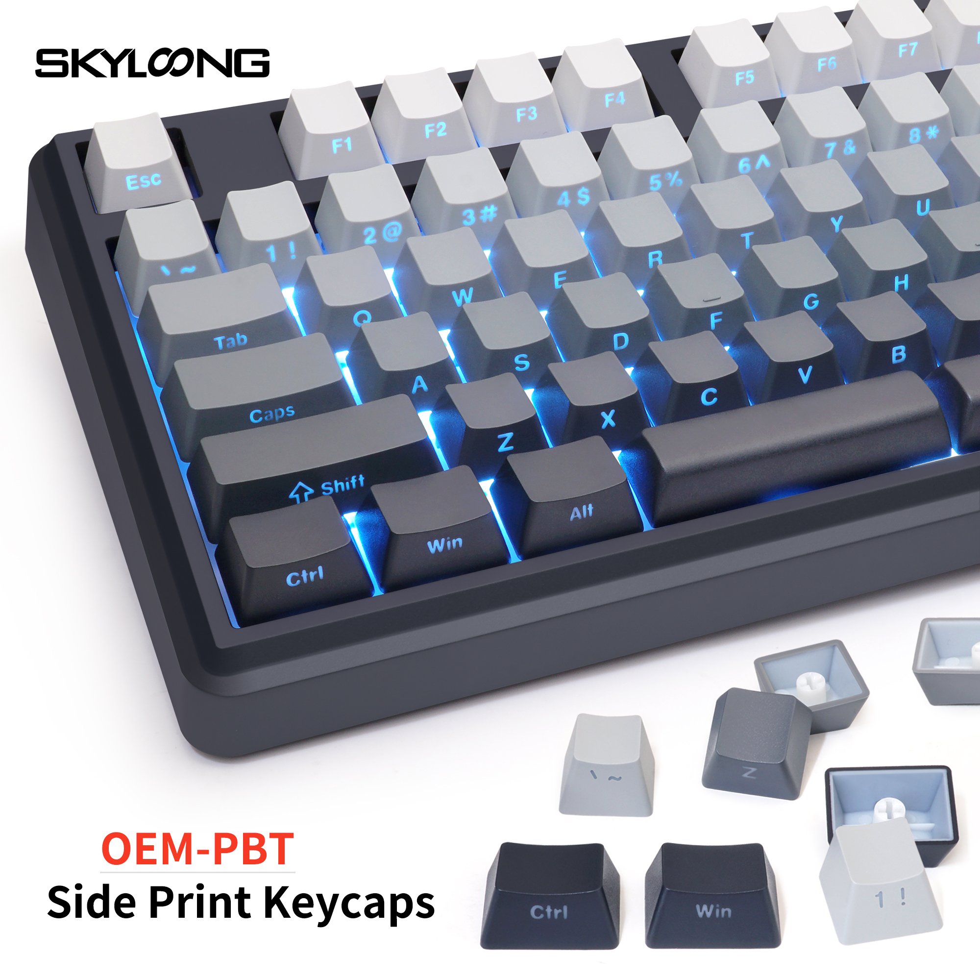 SKYLOONG 104 3 Mode Wireless RGB Keyboard Custom 100% Screen Knob Hot-Swappable Side-Engraved PBT Keycap pc keyboard gaming