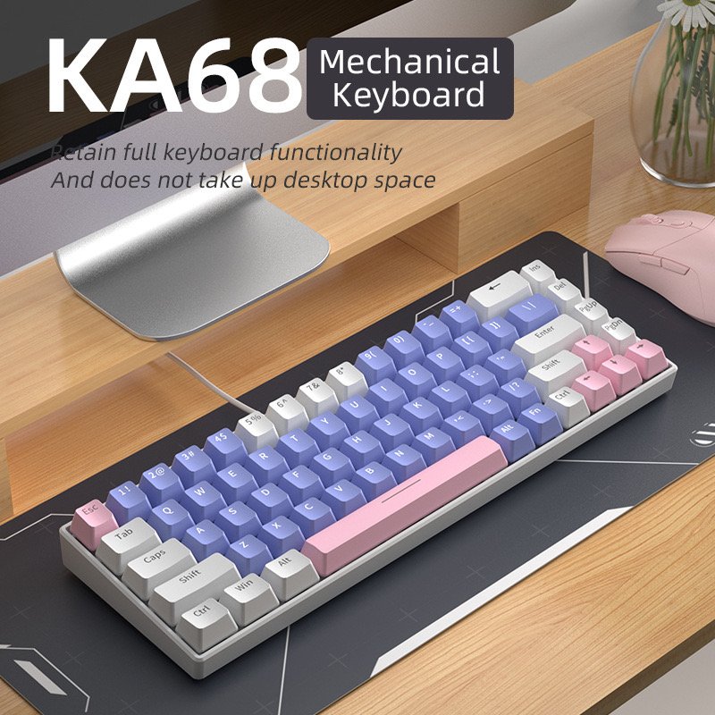 Professional Gamer Blue Switches 60 Percent Gaming Keyboard 61 Keys Portable LED RGB Backlit Mechanical Keyboard for PC Laptop
