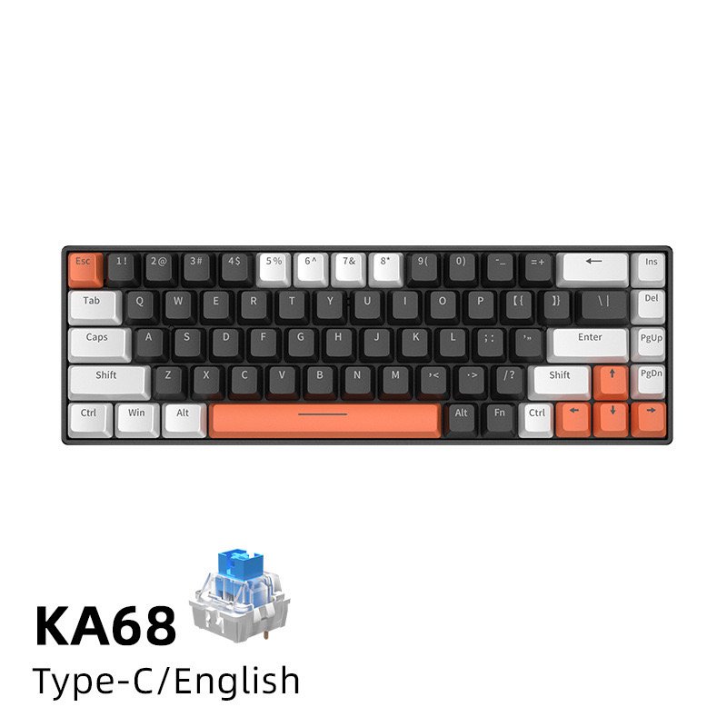 Professional Gamer Blue Switches 60 Percent Gaming Keyboard 61 Keys Portable LED RGB Backlit Mechanical Keyboard for PC Laptop