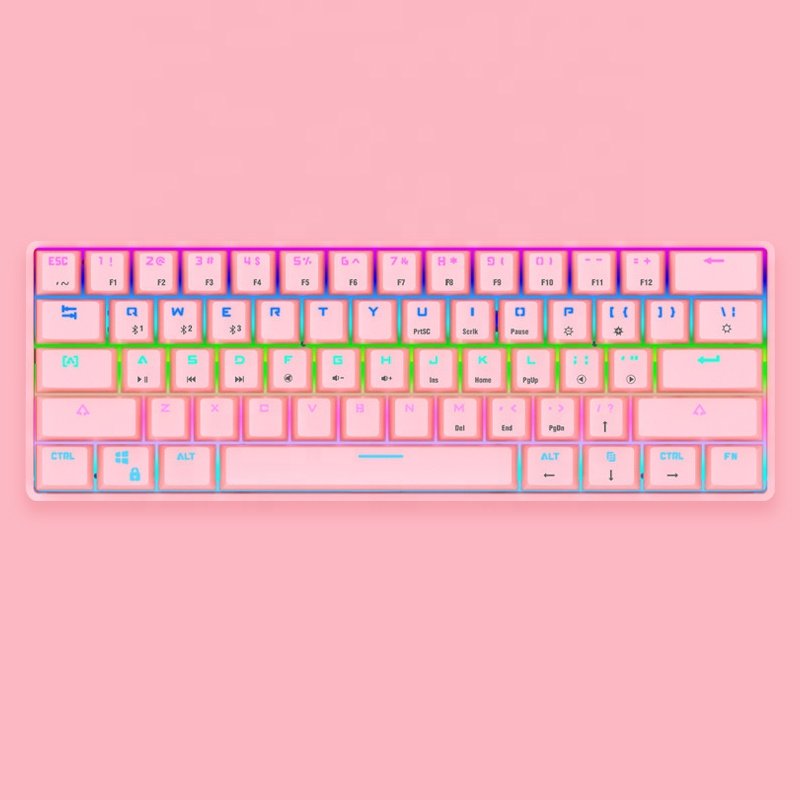 61 Key Led Usb Wired 60 Percent Mechanical Gaming Keyboard Detachable Type-C Cable Mini White Gaming Keyboard with Red Switches