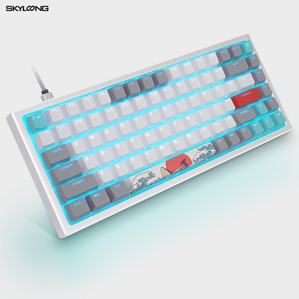 SKYLOONG hot swap RGB gk61 coral sea gaming mechanical keyboard gateron optical switch xda oem odm