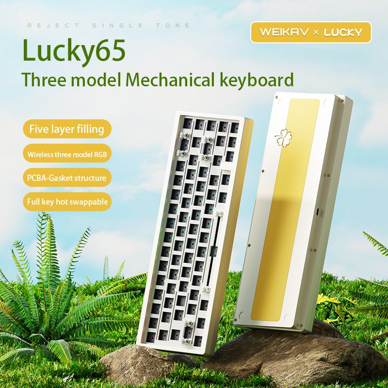 Lucky65 Wireless Full Rgb Hot Swappable Mechanical Keyboard Kit With 3 Types Of 2.4g Wired Bluetooth Connections
