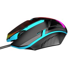 mouse