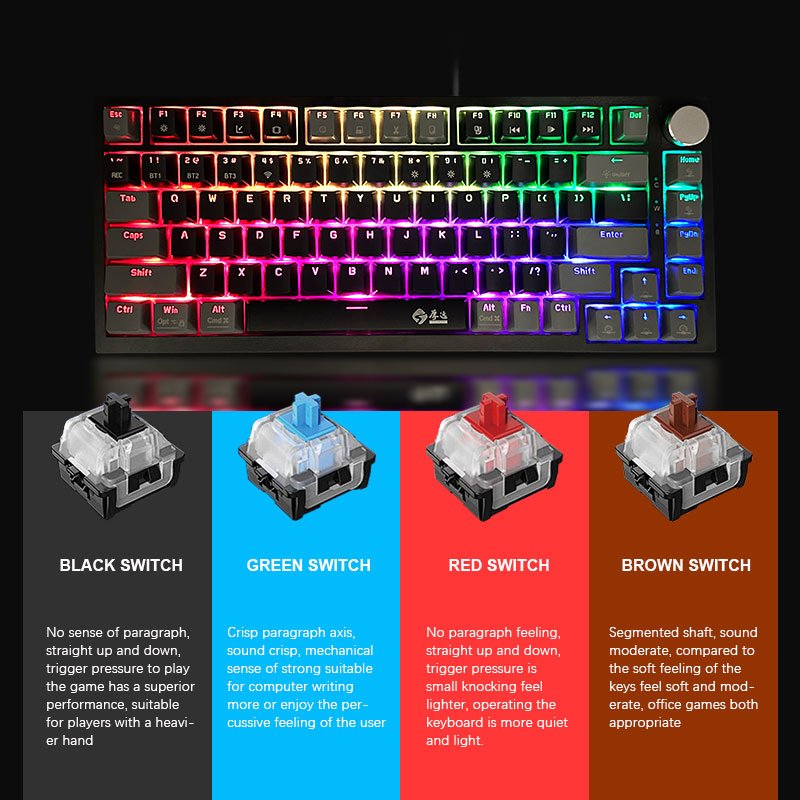 Custom Mechanical Keyboard Wired/2.4G Wireless/Bluetooth RGB PBT 75% Layout OEM Profile Gasket Customized PC Gaming Keyboard