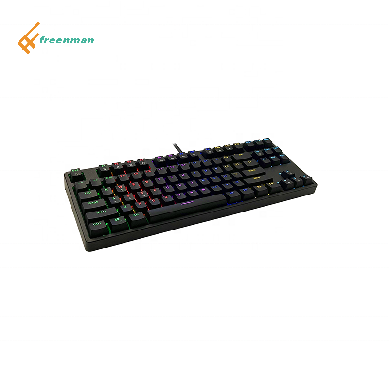 Blue Switch Clicy Outemu Mechanical Gaming Keyboard TKL Compact Keyboard with ABS Usb USB Type C RGB Wired Lot Art Multi Keys