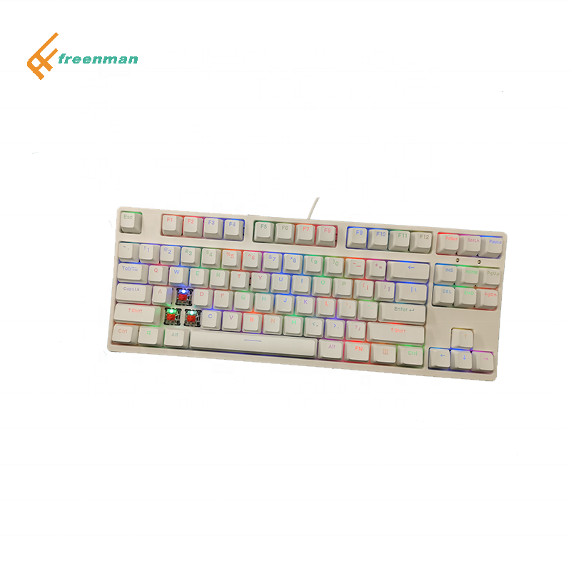Blue Switch Clicy Outemu Mechanical Gaming Keyboard TKL Compact Keyboard with ABS Usb USB Type C RGB Wired Lot Art Multi Keys