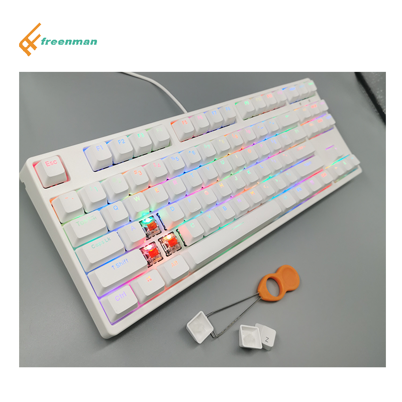 Blue Switch Clicy Outemu Mechanical Gaming Keyboard TKL Compact Keyboard with ABS Usb USB Type C RGB Wired Lot Art Multi Keys
