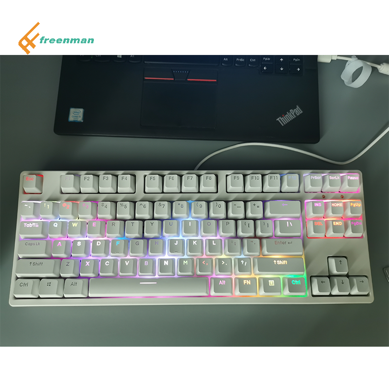 Blue Switch Clicy Outemu Mechanical Gaming Keyboard TKL Compact Keyboard with ABS Usb USB Type C RGB Wired Lot Art Multi Keys