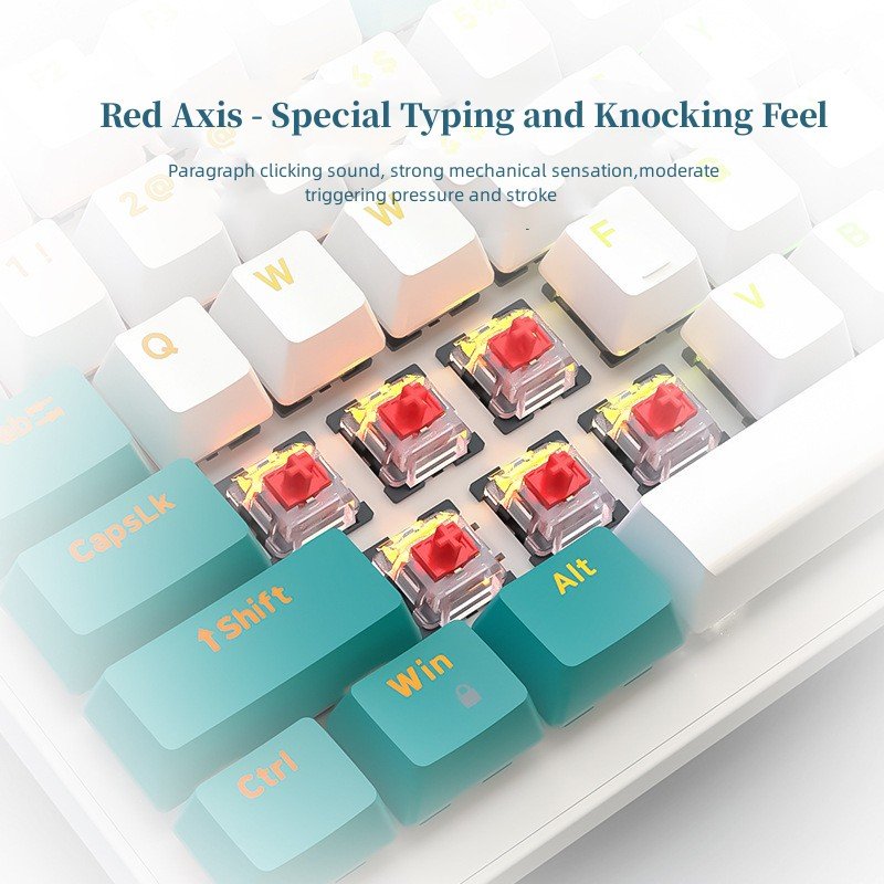PCTENK XK61B Gaming Keyboard Blue Red Mechanical Switch Full Anti Ghosting With N Key Rollover Support Individual RGB Backlit