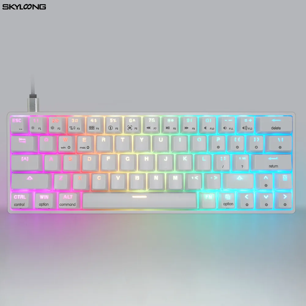 SKYLOONG SK63 GK63 ANSI layout 60% RGB gaming 63keys mechanical keyboard with gateron switch