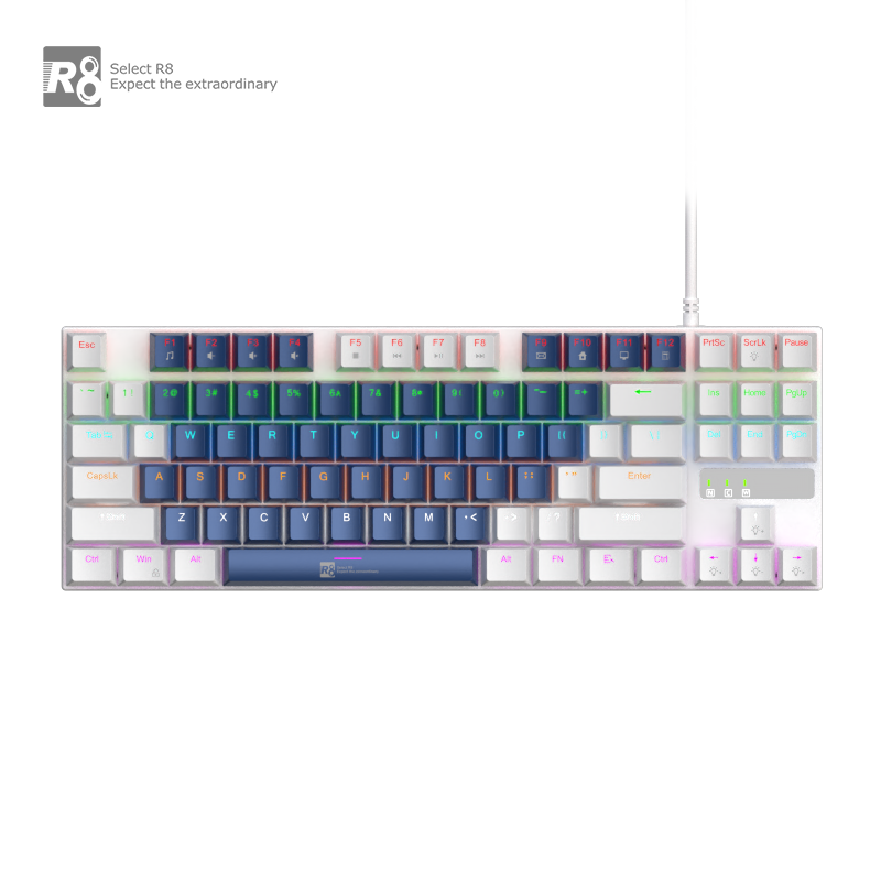 Custom 87 Keys Mechanical Keyboard RGB Led Backlit Swappable Mechanical Gaming Keyboards Teclado For Computer Laptop Gamer