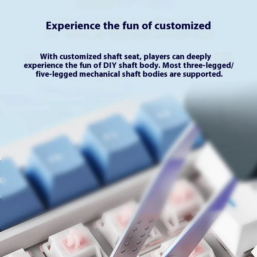 LANGTU F99 Mechanical Gaming Keyboard 98 Keys RGB Backlit Programmable Keyboard 96% Keyboard with Pre-lubed Linear Switch