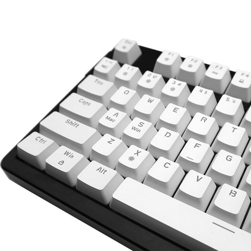 98-Keys Red Switch OEM Wired Type C Hot Swappable Backlit Lighting Computer Mechanical Gaming Keyboard Model Magic Keyboard