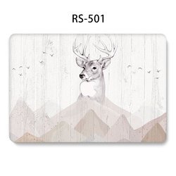 RS-501